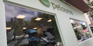 Pelouros Pontevedra
