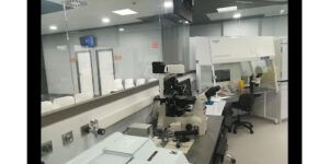 Ginemed Huelva